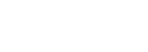 Nethits